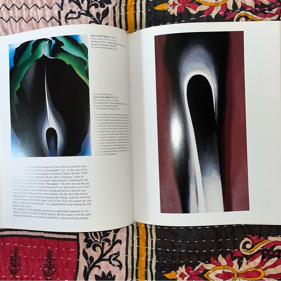 O'Keeffe Art Book by Britta Benke - Taschen ISBN 3836531887 - Picture 8 of 16
